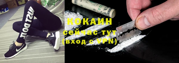 твердый Арсеньев