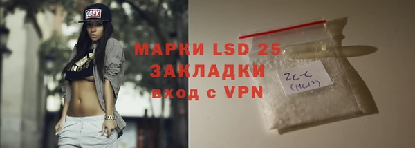 твердый Арсеньев