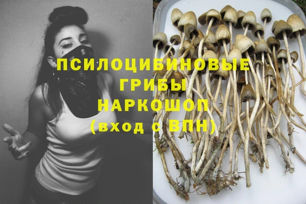 твердый Арсеньев