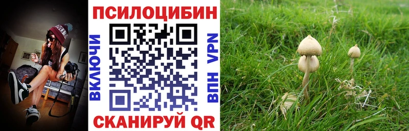 Псилоцибиновые грибы прущие грибы Тейково