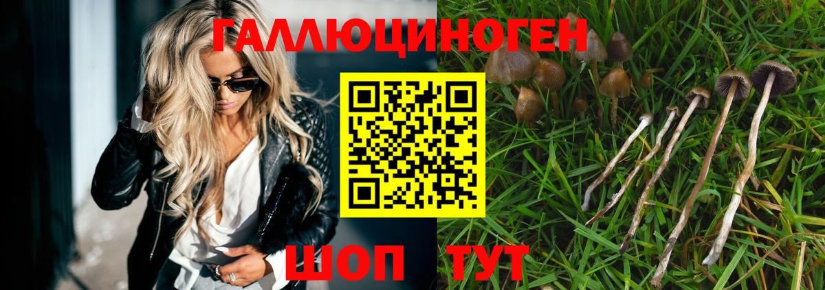 Тейково  Галлюциногенные грибы MAGIC MUSHROOMS  Вход с VPN 